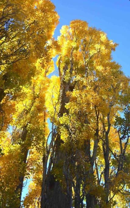 1 B1B Lake Cabin/Walk To Lake/Boulder Bay Park Big Bear Lake Ngoại thất bức ảnh